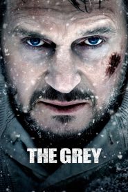 The Grey Full Movie Download & Watch Online