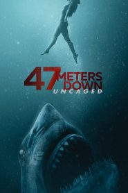 47 Meters Down: Uncaged Full Movie Download & Watch Online