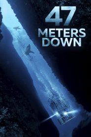 47 Meters Down Full Movie Download & Watch Online