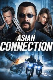 The Asian Connection (2016) Free Watch Online & Download