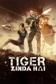 Tiger Zinda Hai (2017) Free Watch Online & Download