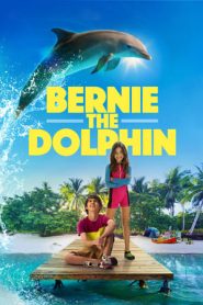 Bernie the Dolphin (2018) Free Watch Online & Download