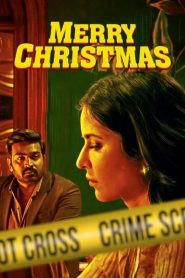 Merry Christmas (2024) Free Watch Online & Download