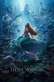 The Little Mermaid (2023) Free Watch Online & Download