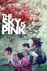 The Sky Is Pink (2019) Free Watch Online & Download